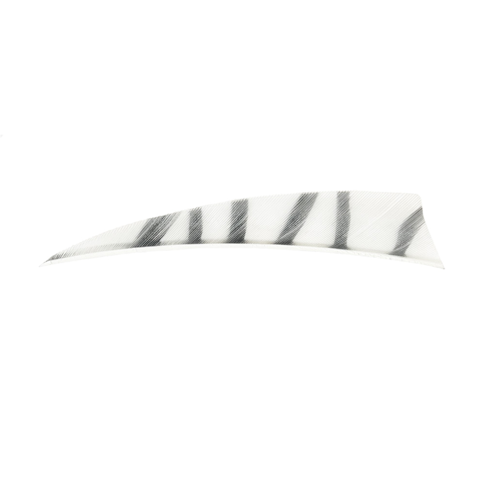 Color: White/Black Color: White/Black