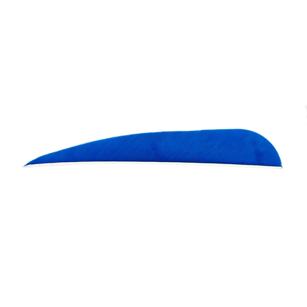Color: Blue Color: Blue