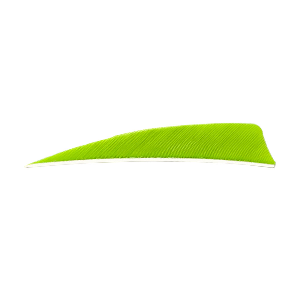 Color: Lemon Lime