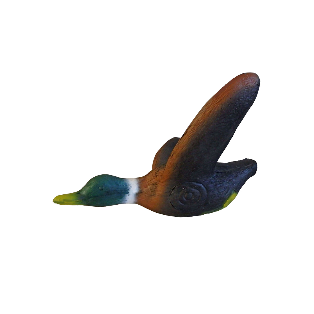 Dier, Snavel, Vogel, Anseriformes, Watervogels
