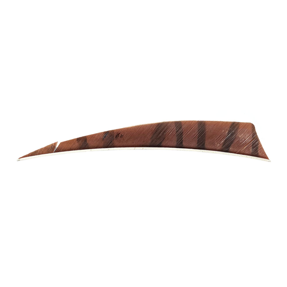 Color: Brown/Black Color: Brown/Black