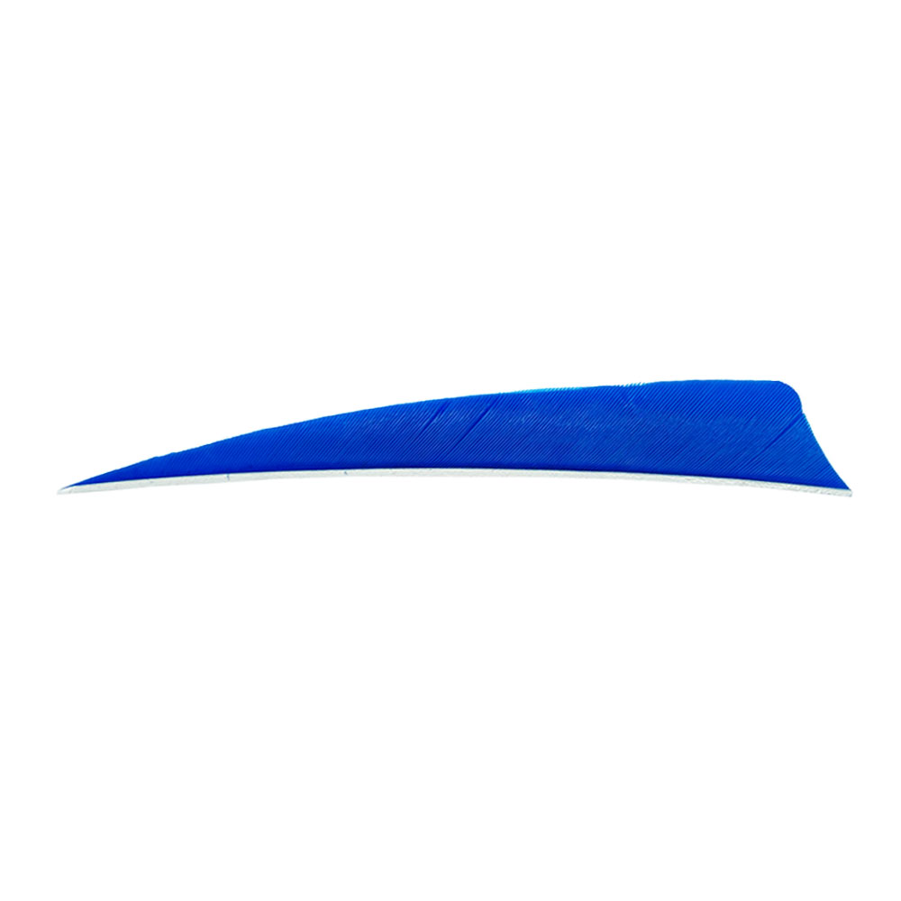Color: Blue Color: Blue