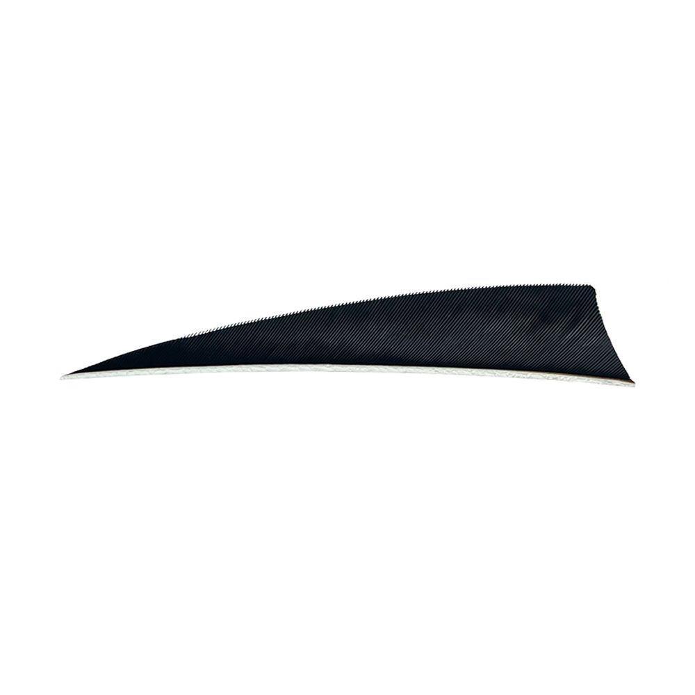 Color: Black Color: Black