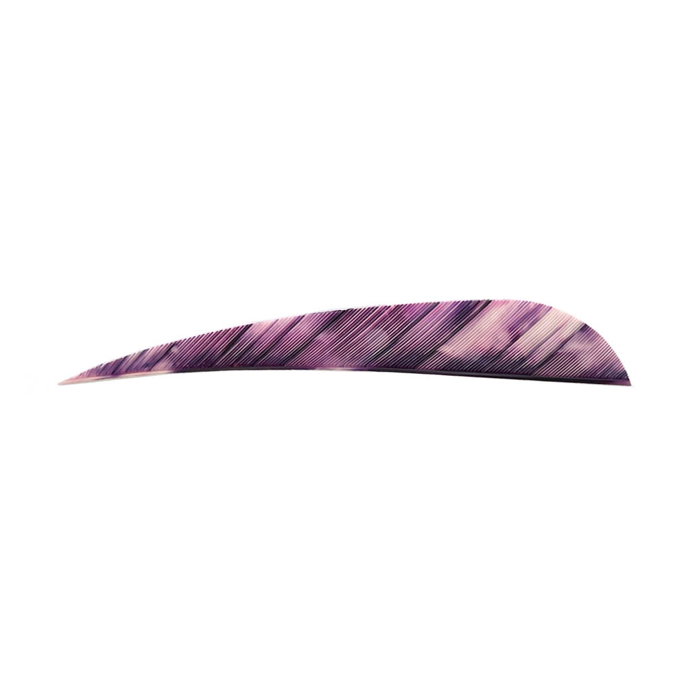 Color: Tre Purple Color: Tre Purple
