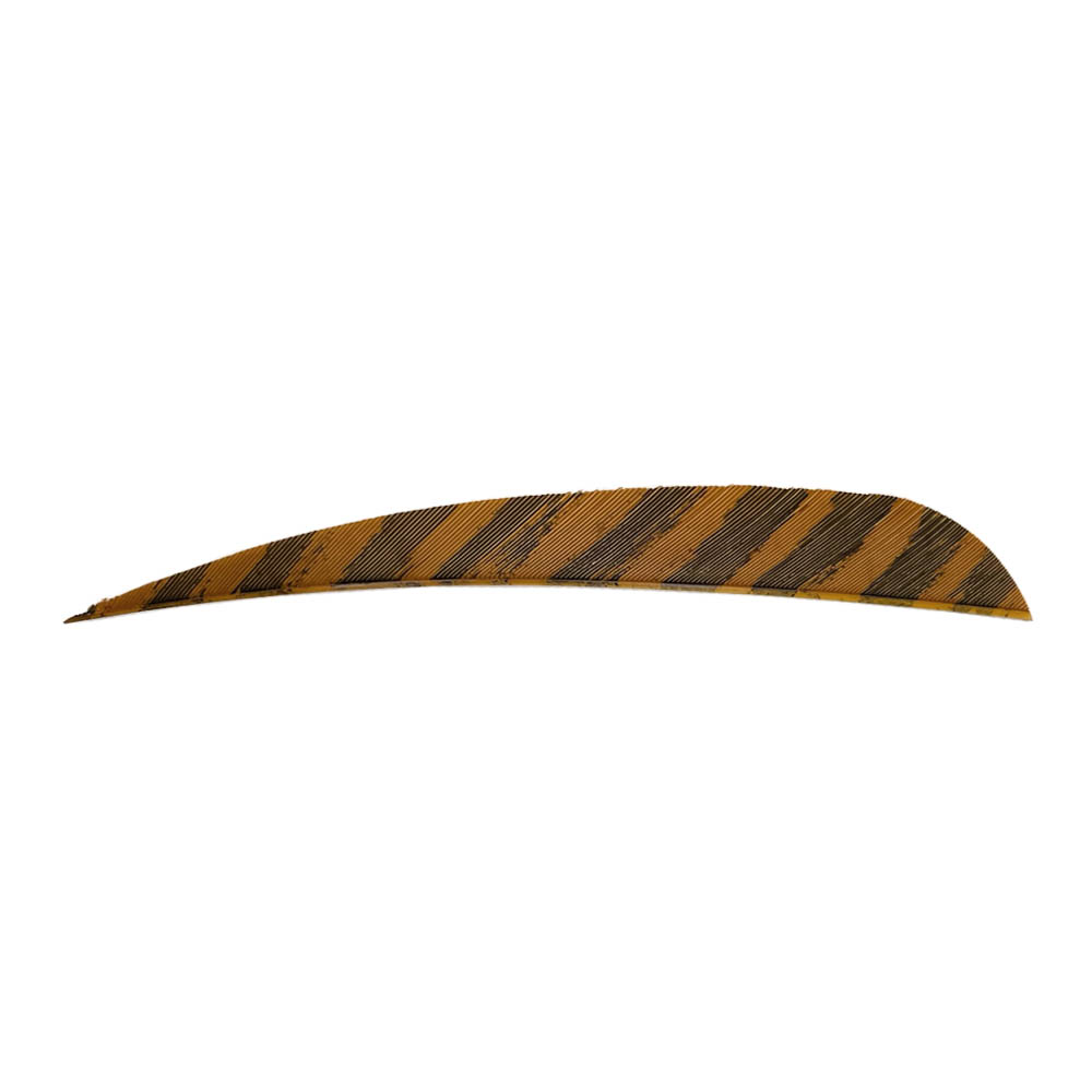 Color: Barred Brown Color: Barred Brown