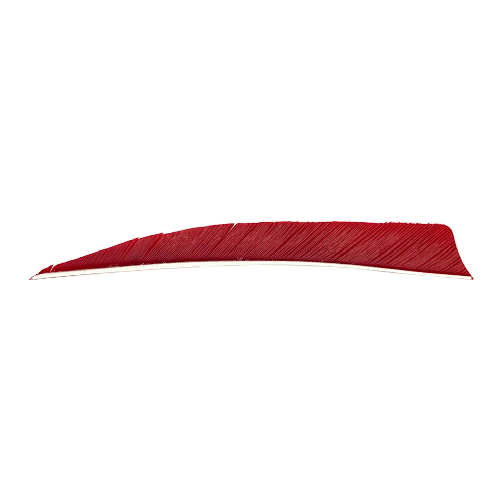 Color: Red Color: Red