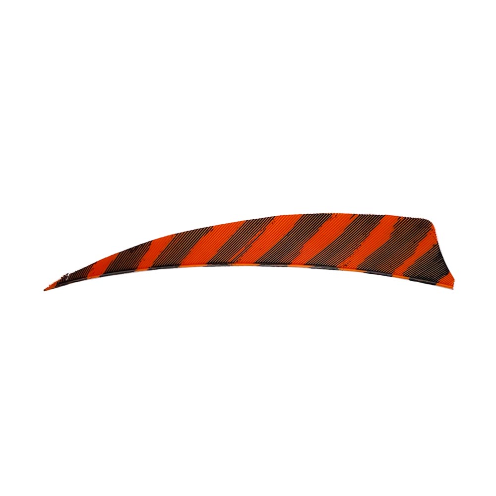 Color: Barred Orange Color: Barred Orange