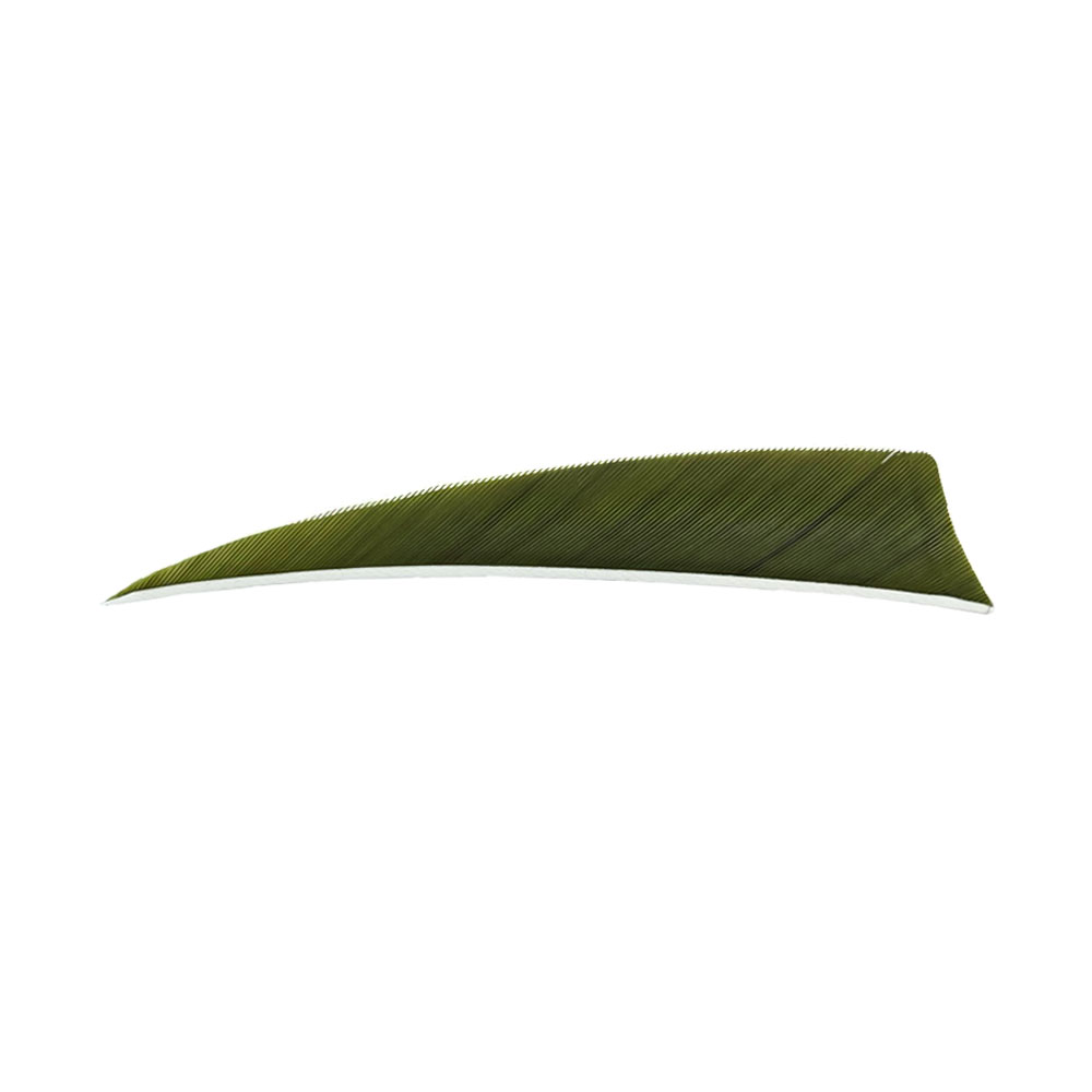 Color: Olive Green Color: Olive Green