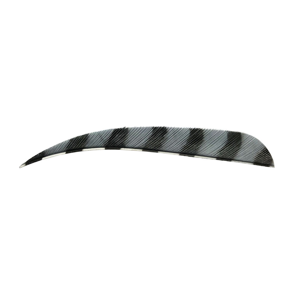 Color: Grey/Black Color: Grey/Black