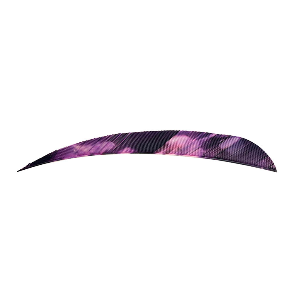Color: Tre Purple Color: Tre Purple