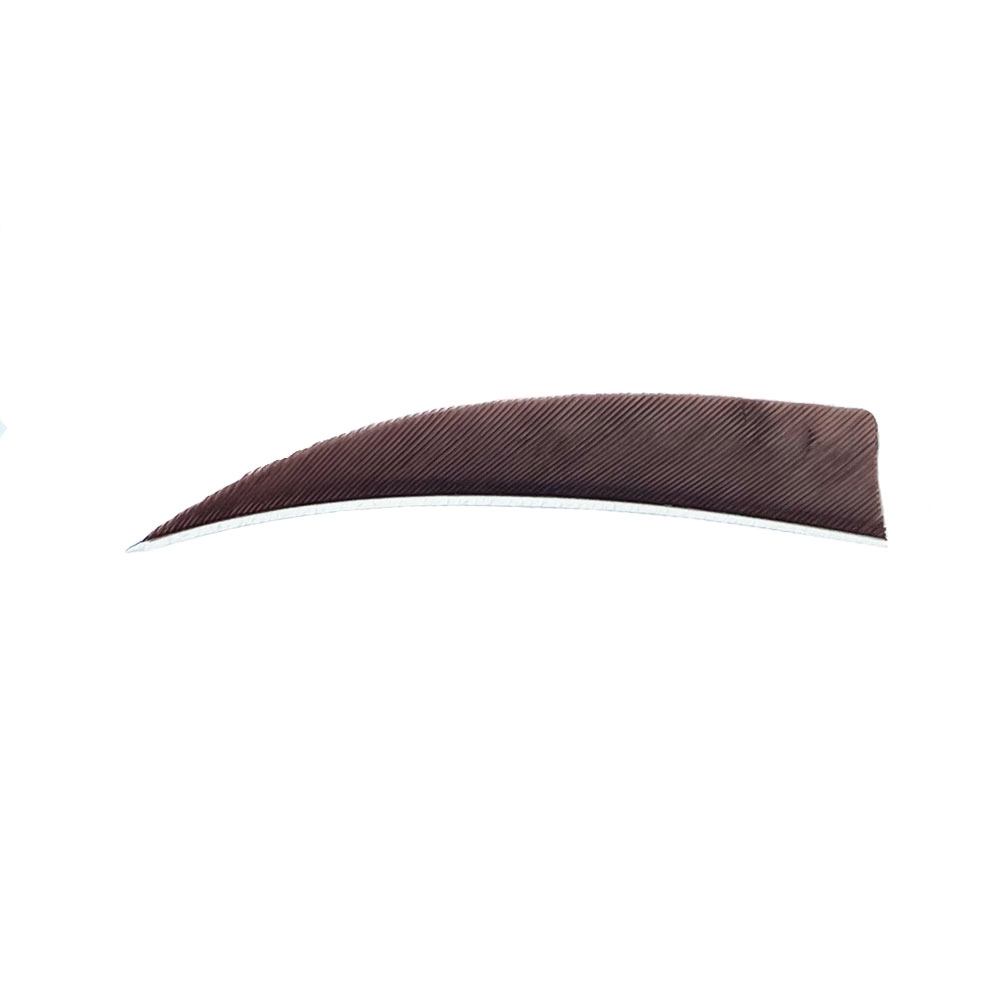 Color: Brown Color: Brown