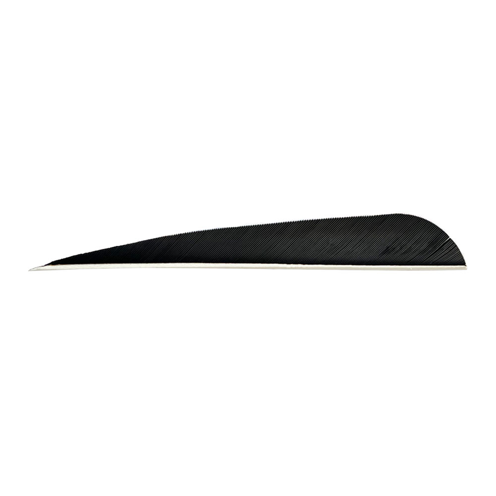 Color: Black Color: Black