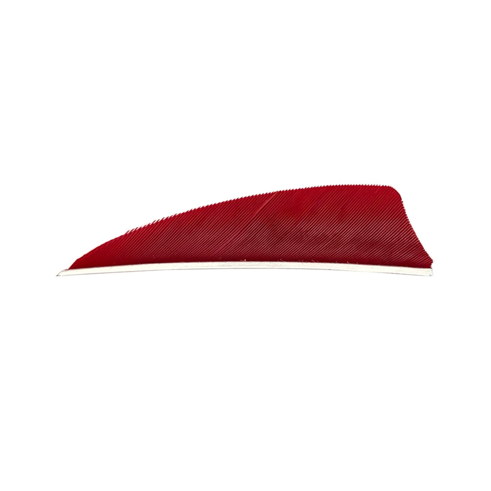 Color: Red Color: Red