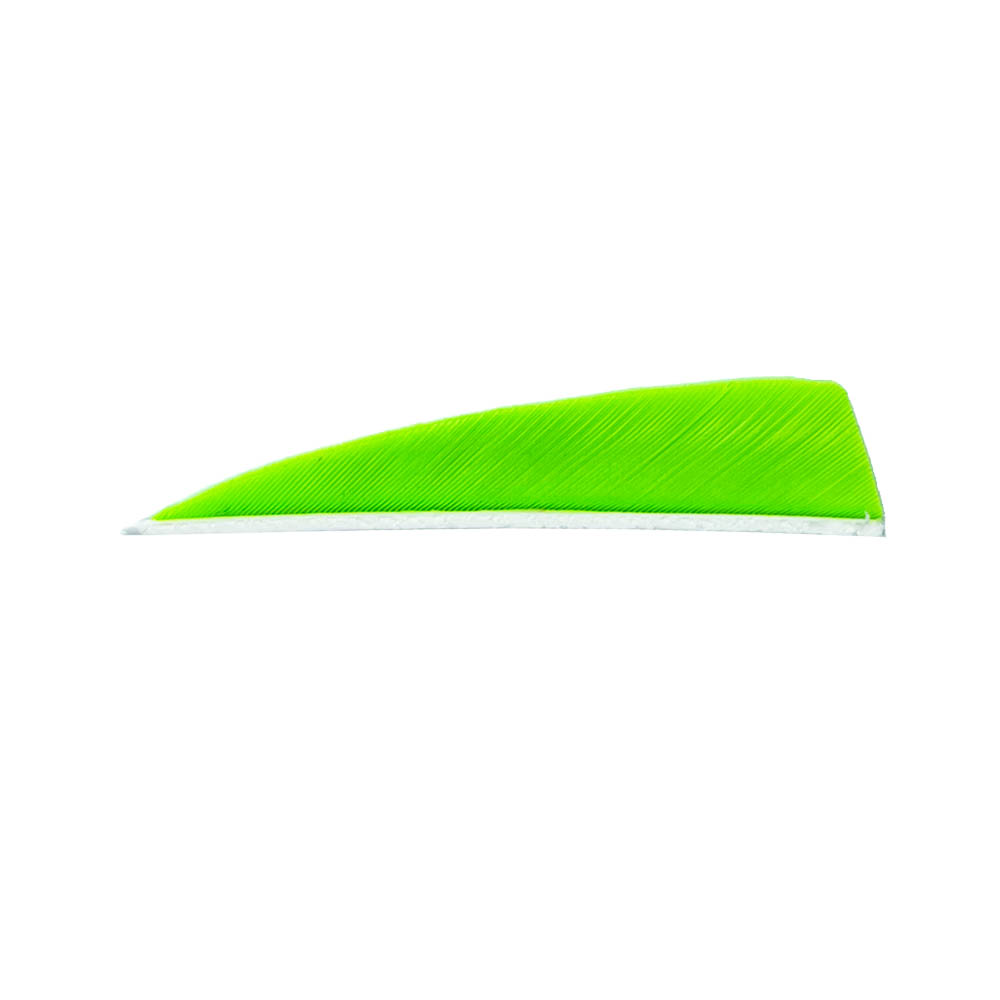 Color: Fluor Green Color: Fluor Green