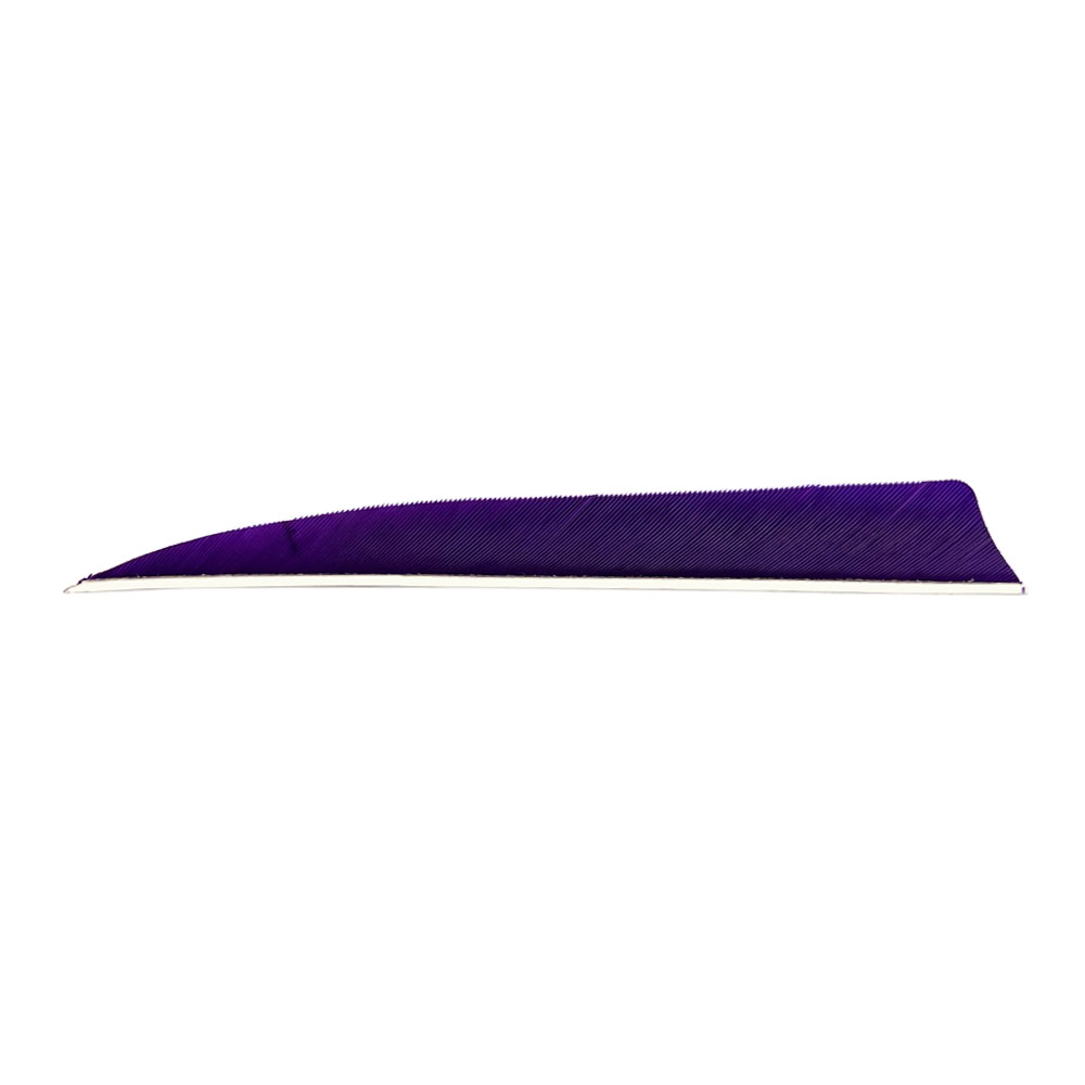 Color: Purple Color: Purple