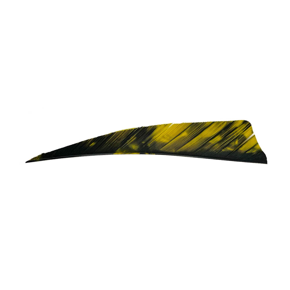 Color: Tre Yellow Color: Tre Yellow