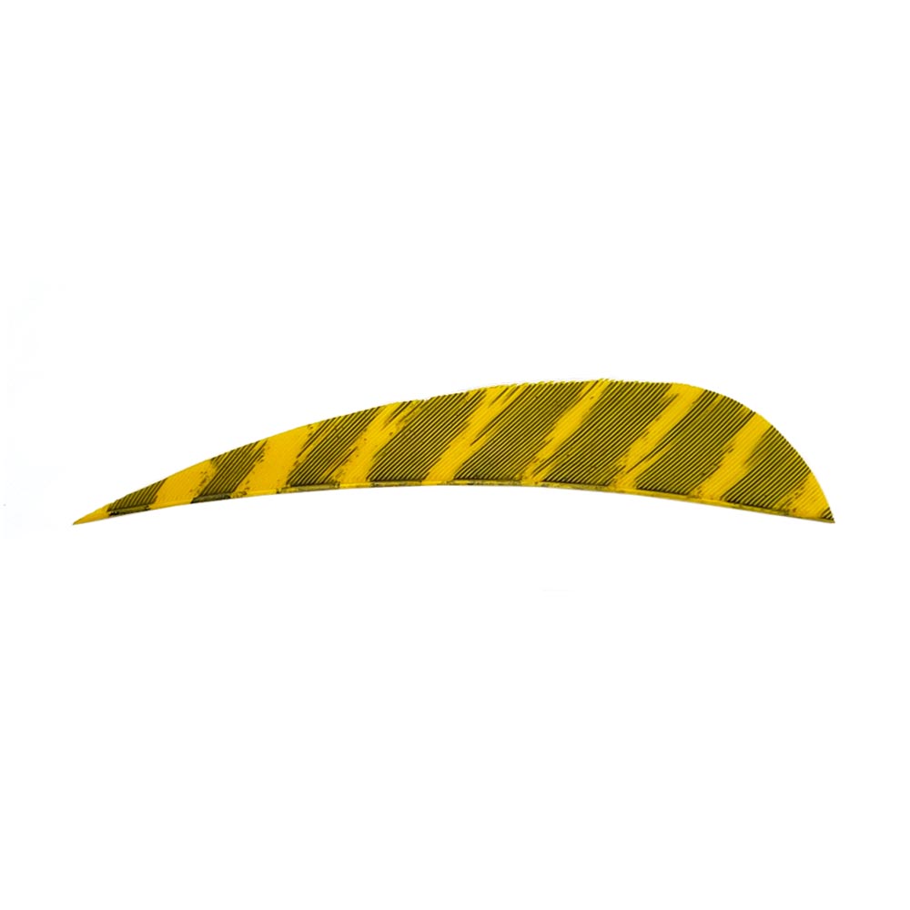 Color: Barred Yellow Color: Barred Yellow