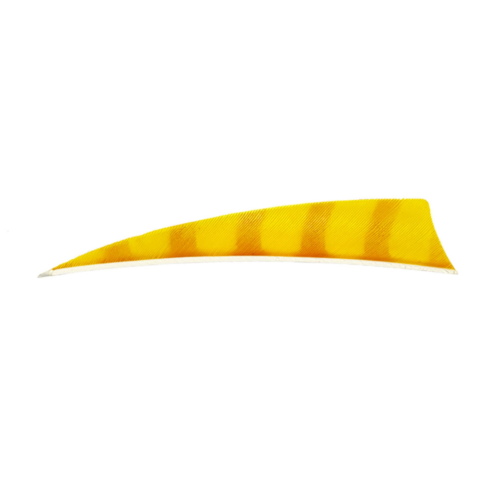 Color: Orange/Yellow Color: Orange/Yellow