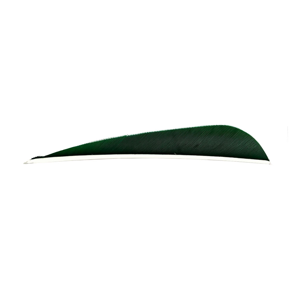 Color: Green Color: Green