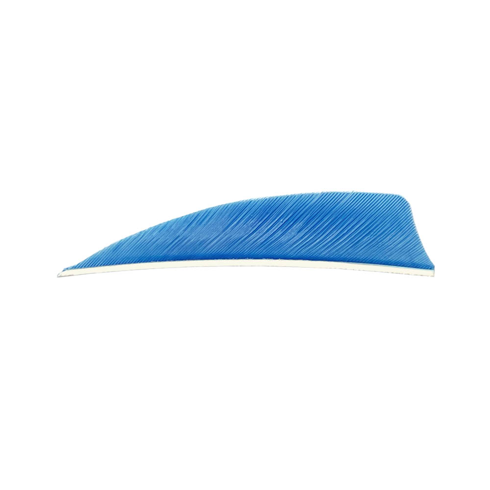 Color: Sky Blue Color: Sky Blue