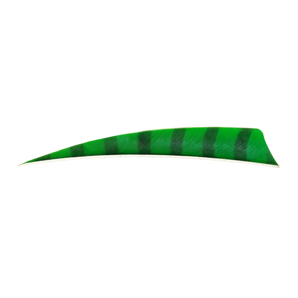 Color: Green/Black Color: Green/Black