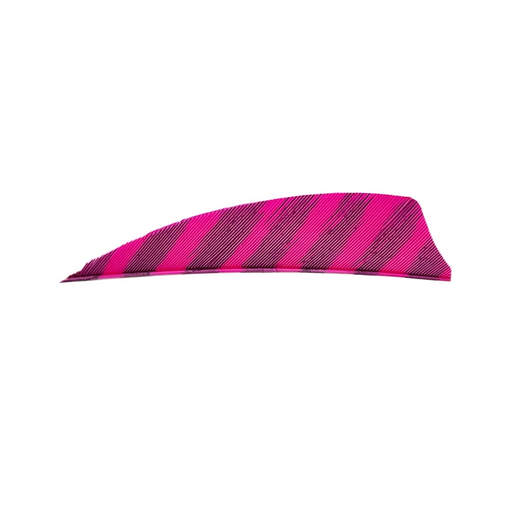 Color: Barred Pink Color: Barred Pink