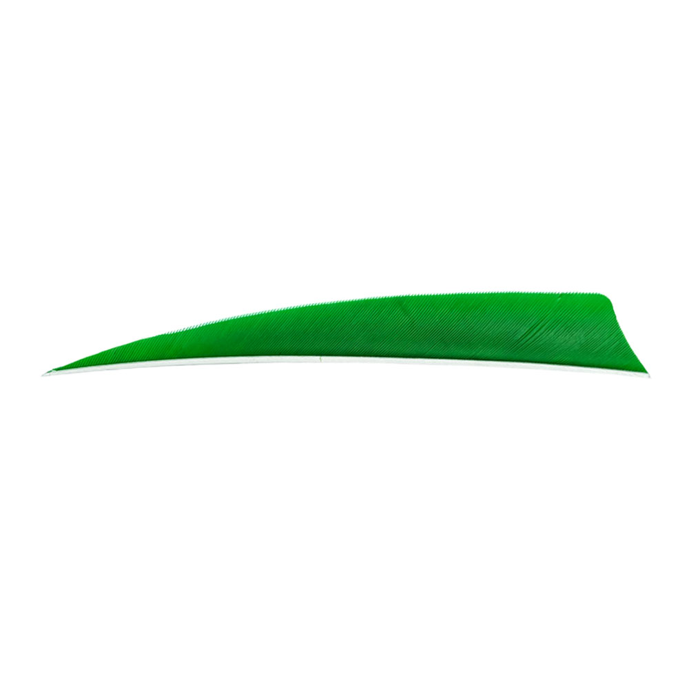 Color: Green Color: Green