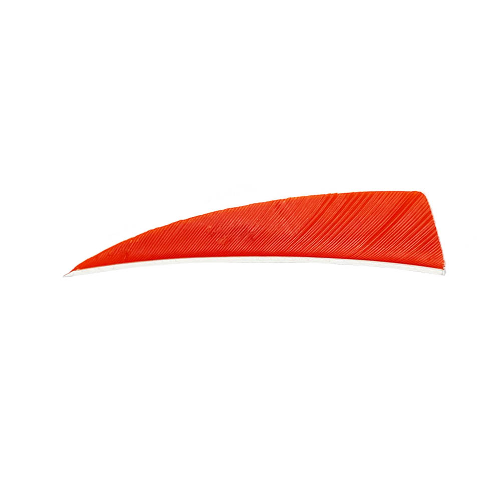 Color: Orange Color: Orange