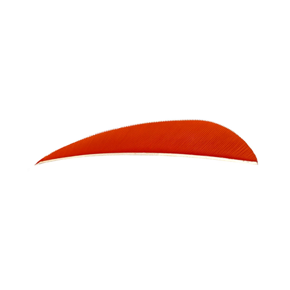 Color: Tangerine Color: Tangerine