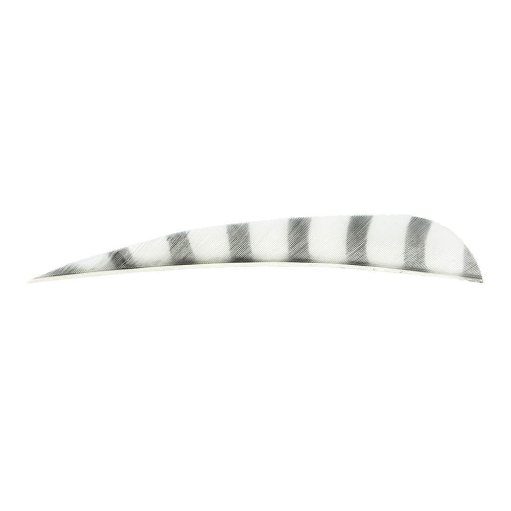 Color: White/Black Color: White/Black