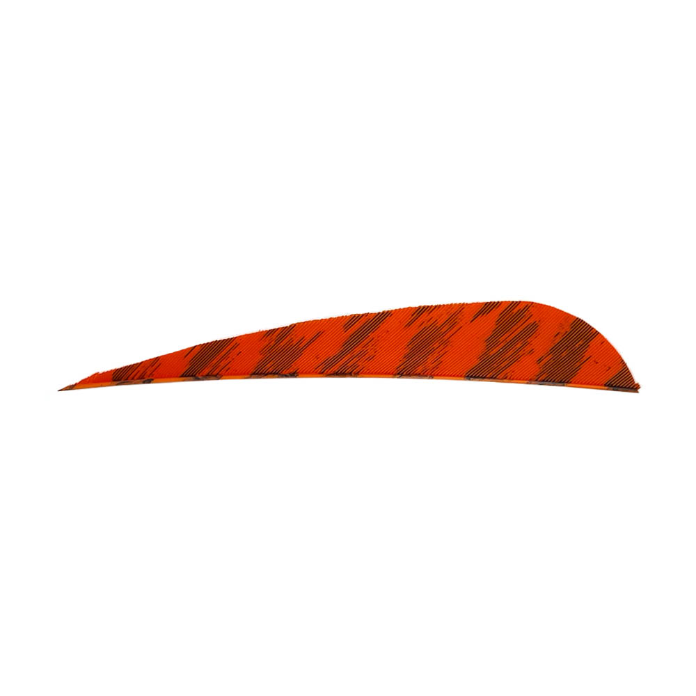 Color: Barred Orange Color: Barred Orange