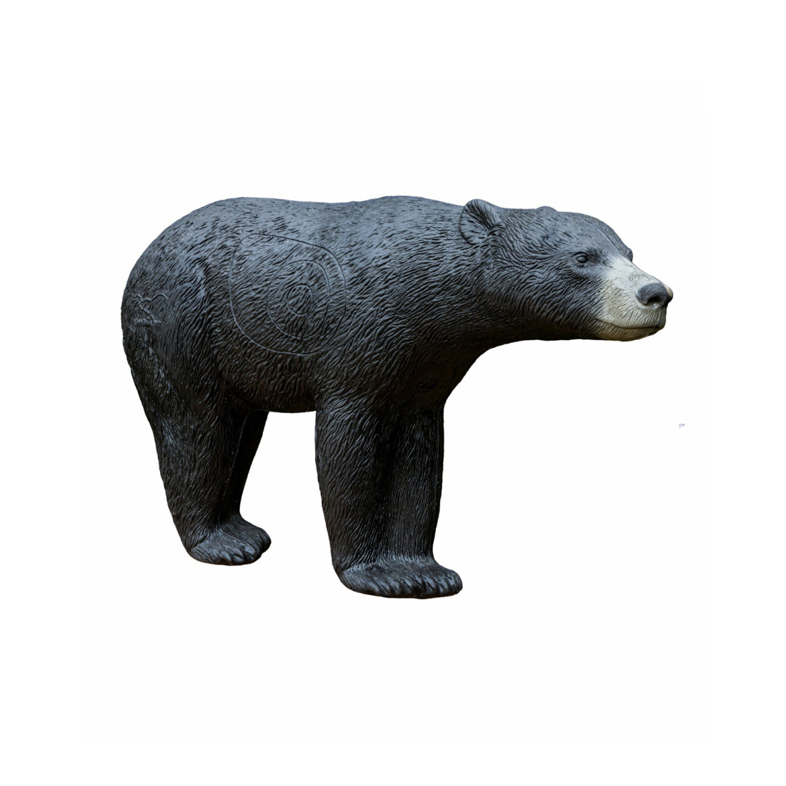 Dier, Beer, Zoogdier, Wilde dieren