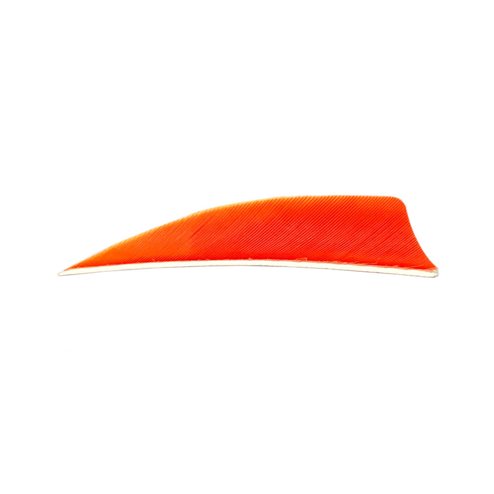 Color: Orange Color: Orange