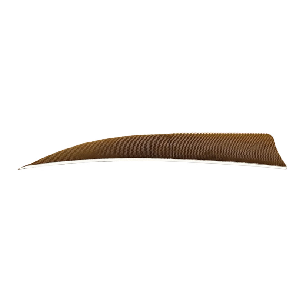 Color: Brown Color: Brown