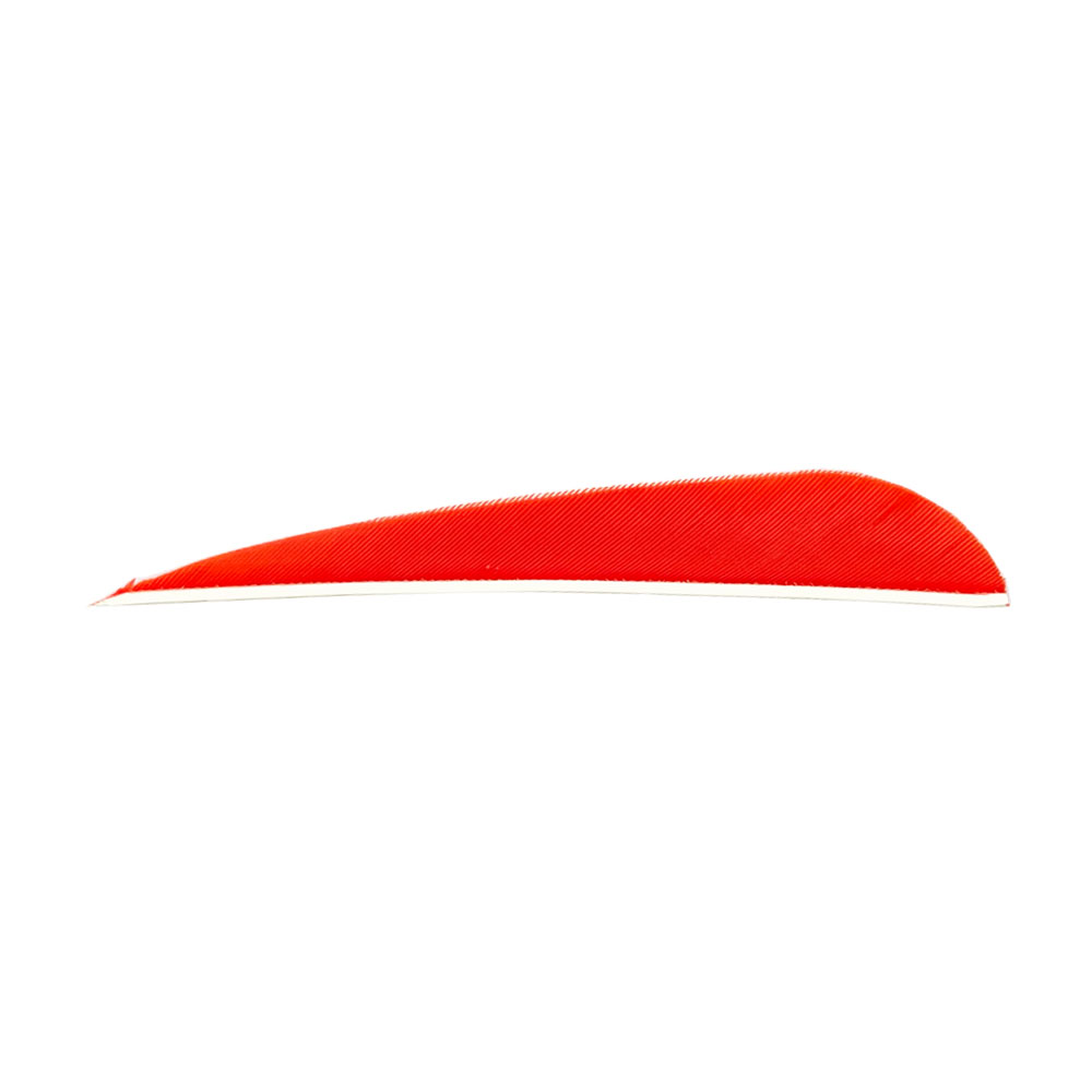Color: Orange Color: Orange