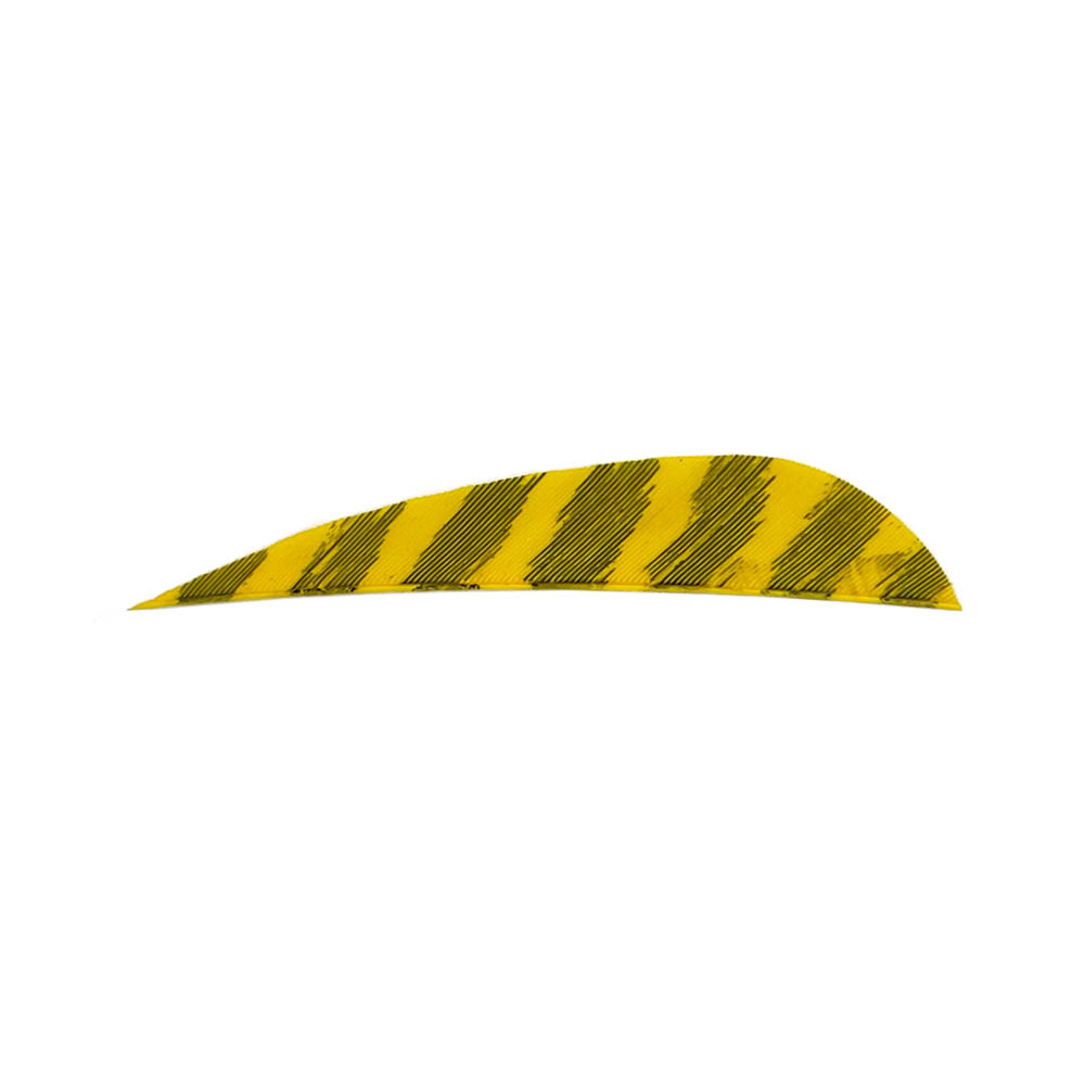 Color: Barred Yellow Color: Barred Yellow