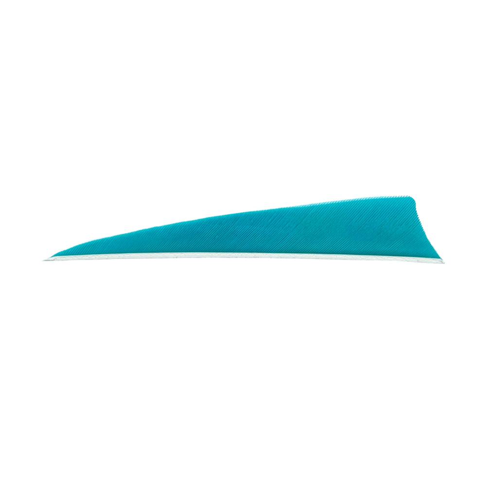 Color: Turquoise Color: Turquoise