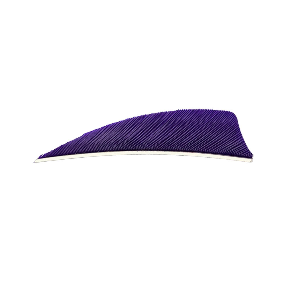 Color: Purple Color: Purple